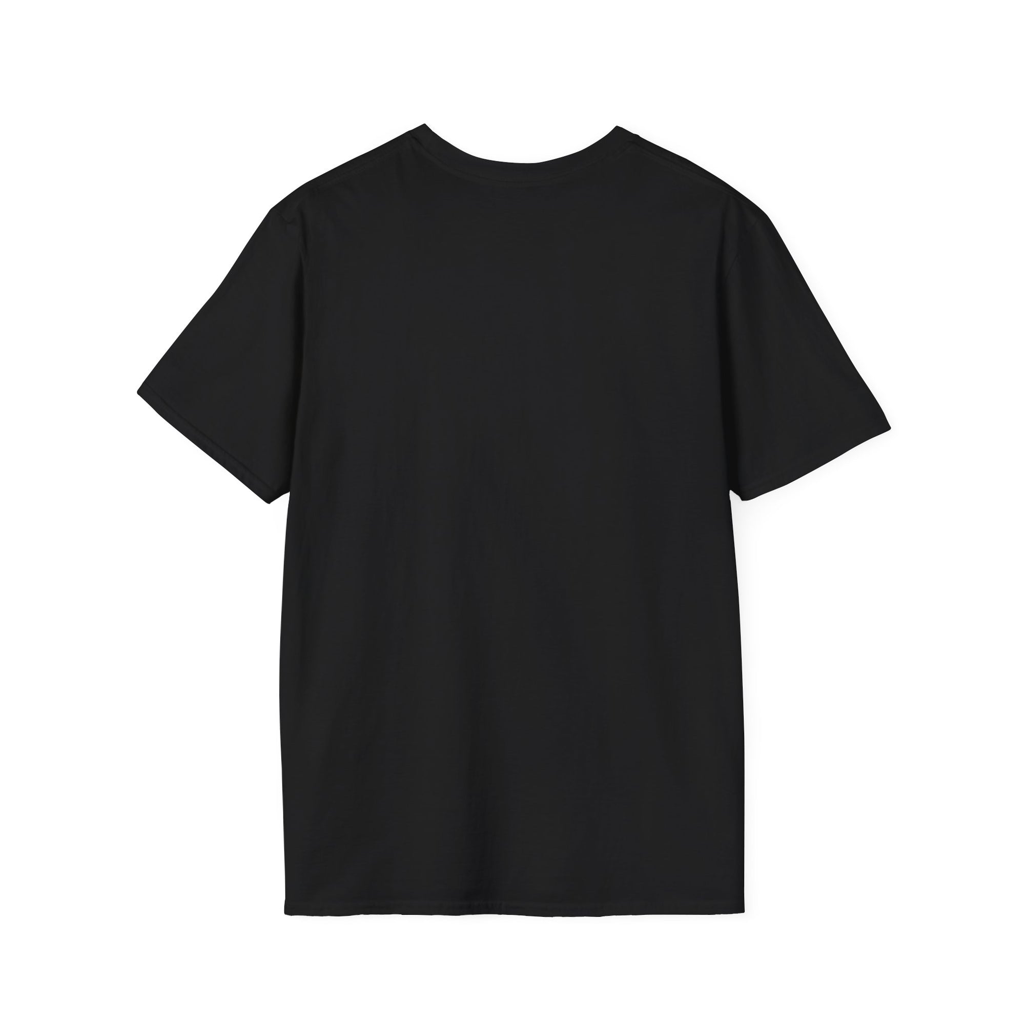 Rock 'n' Roll Vibes Unisex Softstyle T-Shirt, Music Lover Gift, Concert Apparel, Casual Wear, Cool Graphic Tee